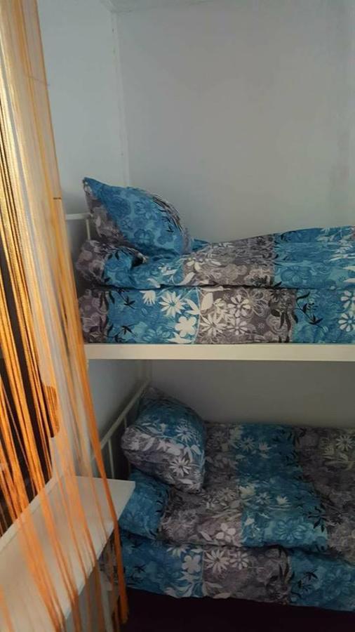 Hostel Belgrade Shungit Dragana Jeftica Br 10 Eksteriør bilde