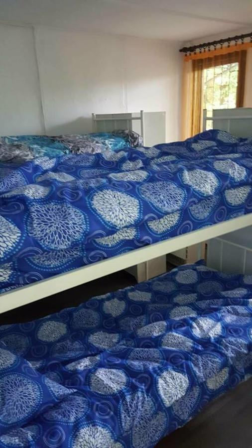 Hostel Belgrade Shungit Dragana Jeftica Br 10 Eksteriør bilde