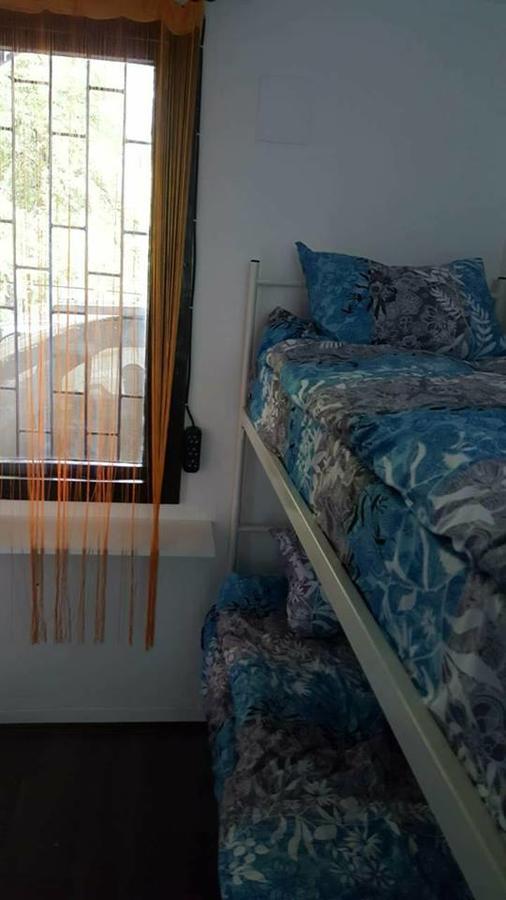 Hostel Belgrade Shungit Dragana Jeftica Br 10 Eksteriør bilde